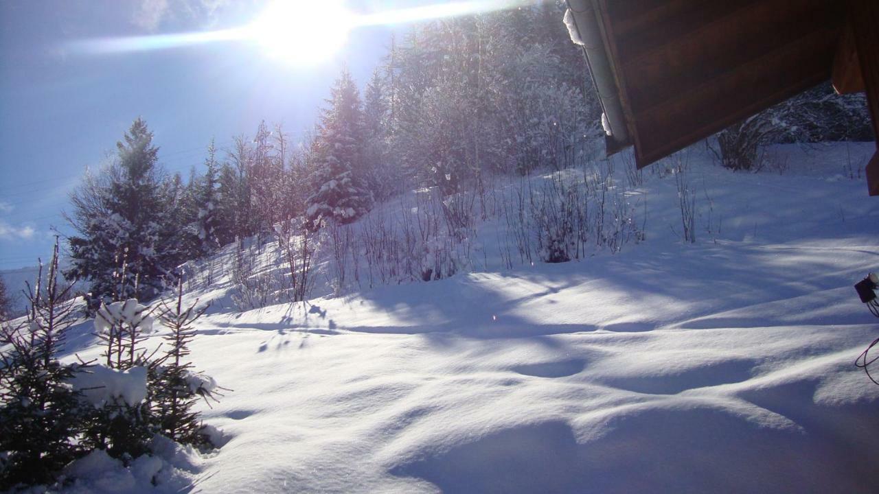 Chalet Miravidi, Montchavin-La Plagne, Jacuzzi & Sauna エクステリア 写真